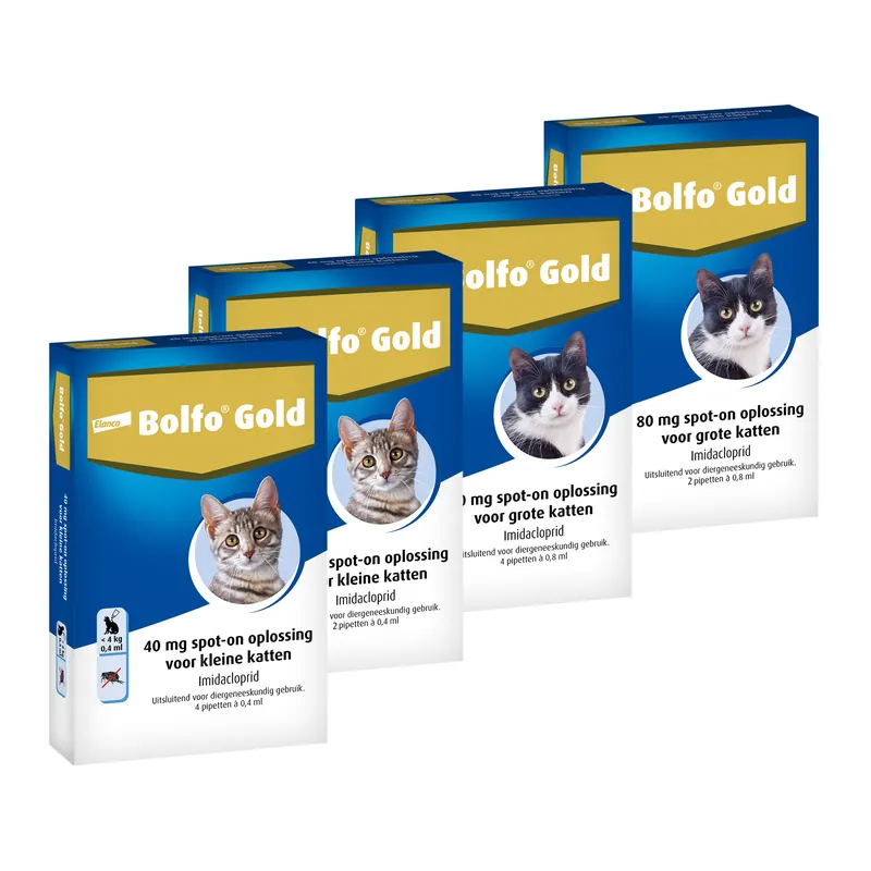 Seizoensaanbieding Bolfo Gold Kat