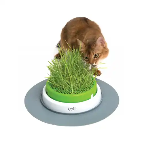 Laatste Kans Catit Senses 2.0 Grass Planter