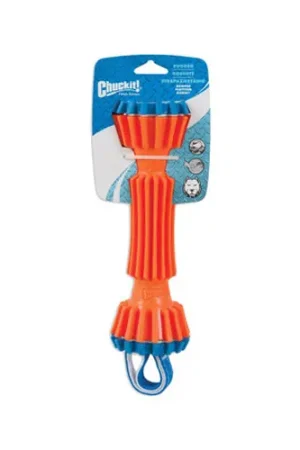 Veilige Betaling Chuckit! Rugged Bumper