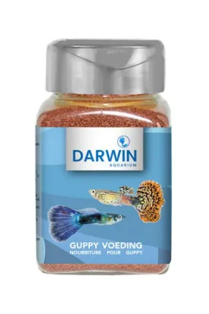 Alleen Vandaag Darwin Guppy Voeding