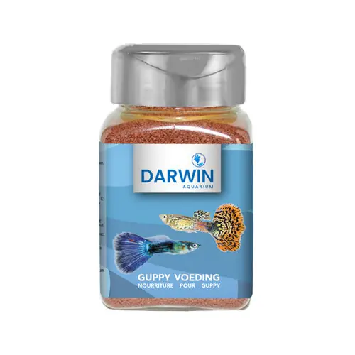 Alleen Vandaag Darwin Guppy Voeding
