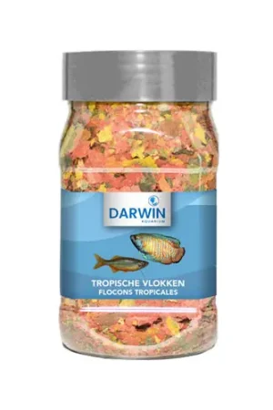 Darwin Tropisch Vlokken Laatste Versie