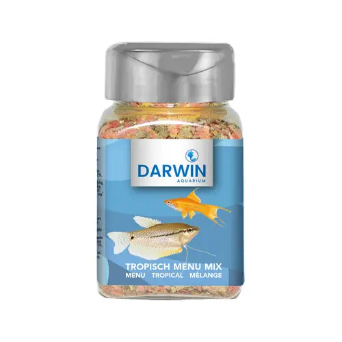 Betaalbaar Darwin Tropische Menu Mix