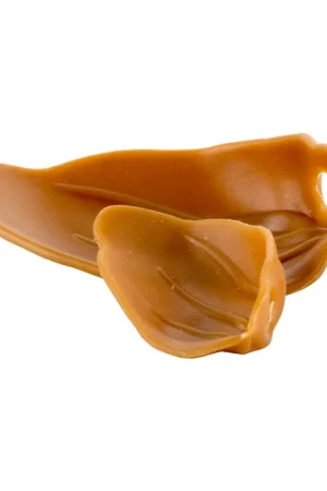 Dental Ears Gereduceerde Prijs