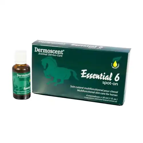 Speciale Aanbieding Dermoscent Essential 6 Spot-On Paard