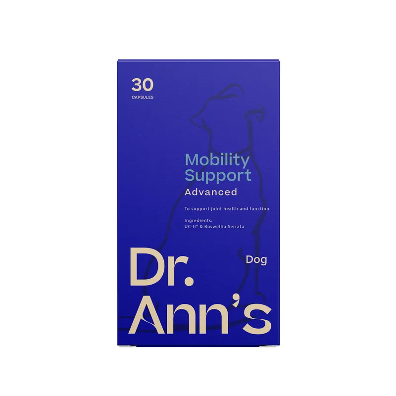 Bestel Nu Dr. Ann‘s Mobility Support Advanced