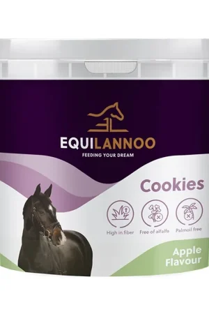 Laatste Versie Equilannoo Cookies