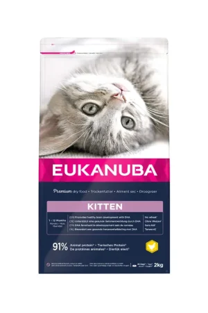 Actieprijs Eukanuba Kitten Healthy Start