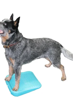 Bestseller FitPAWS Balance Ramp