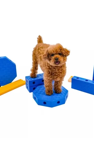 Laatste Versie Fitpaws FitKinect Core