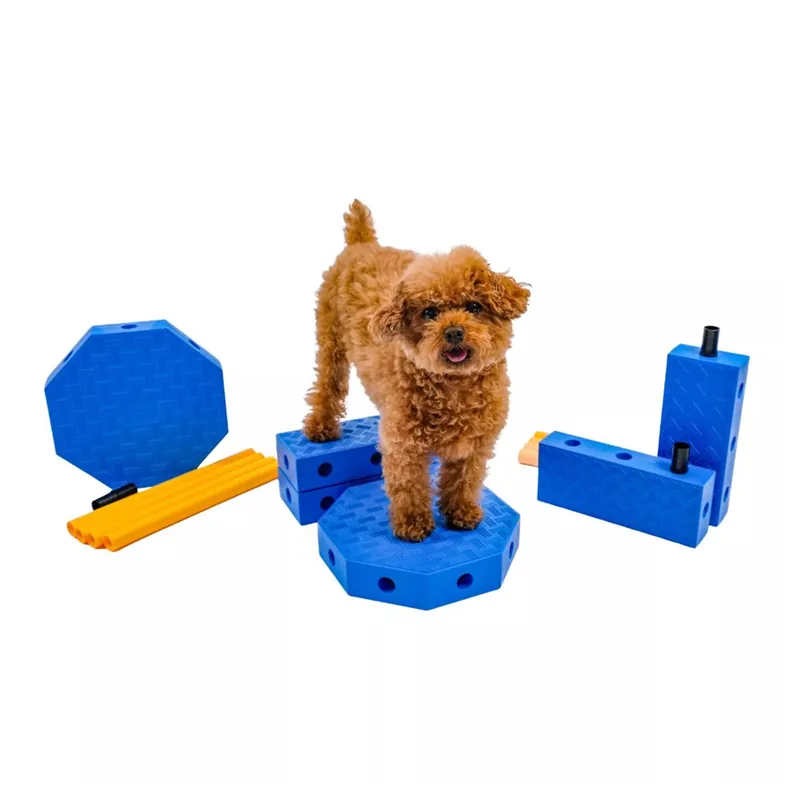 Laatste Versie Fitpaws FitKinect Core