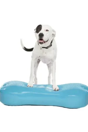 Nieuw FitPAWS K9FITbone Giant