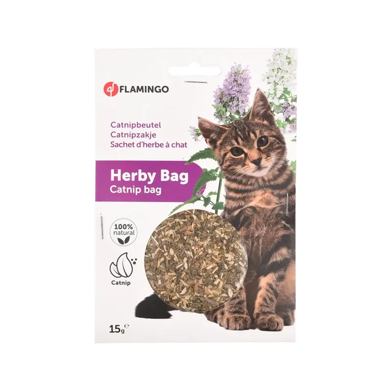 Flamingo Catnip Koop Vandaag