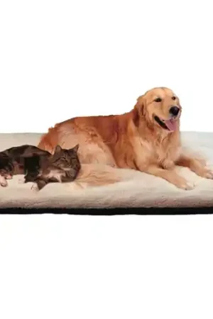 Betrouwbaar Flectabed
