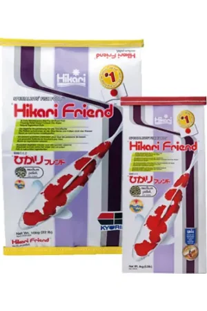 Beste Prijs Hikari Friend Medium