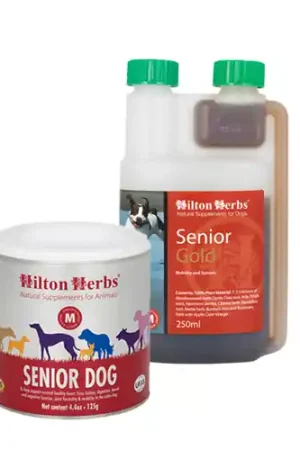 Nu Kopen Hilton Herbs Senior Gold for Dogs