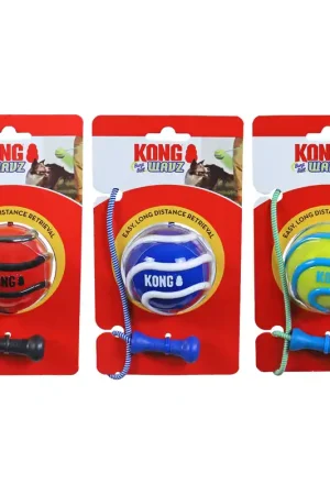 Fabrieksprijs Kong Wavz Bunjibal Medium Assorti