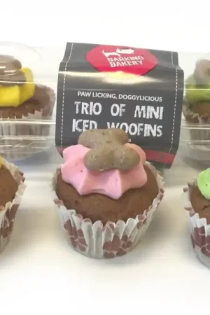 Bestel Nu Barking Bakery Mini Iced Trios Bright Color