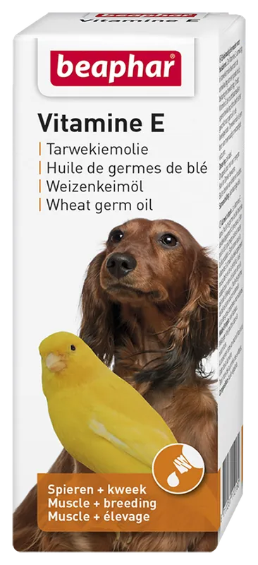Nieuw Beaphar Vitamine E Tarwekiemolie 100 ml