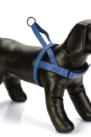 Beeztees Borsttuig Parinca Blauw Beste Prijs
