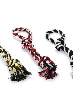 Koopje Beeztees Flossytouw Bino 2 Knopen S Assorti