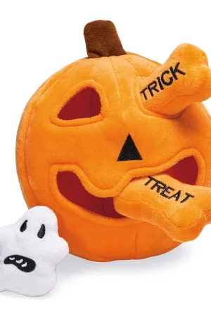 Weekendaanbieding Beeztees Halloween Hide n Seek Pompoen