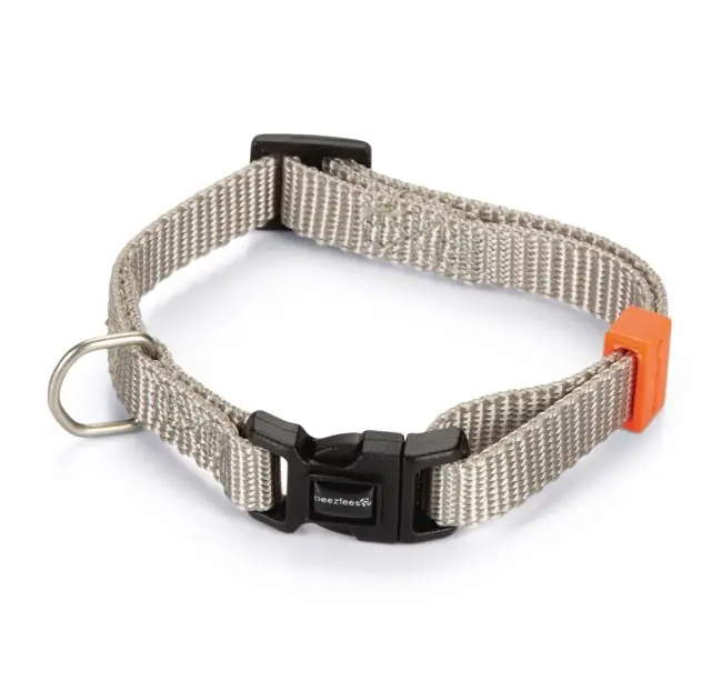 Beeztees Halsband Uni Lichtgrijs Superprijs