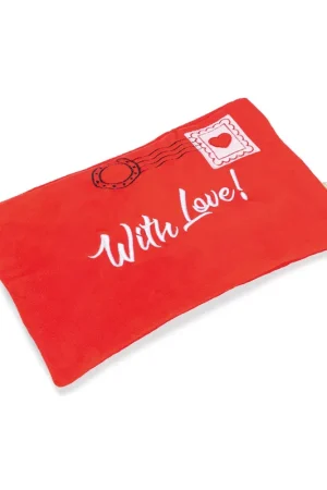 Beperkte Voorraad Beeztees Hondenspeelgoed Hide and Seek Love Letter