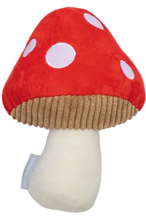 Laatste Versie Beeztees Hondenspeelgoed Paddestoel Toad