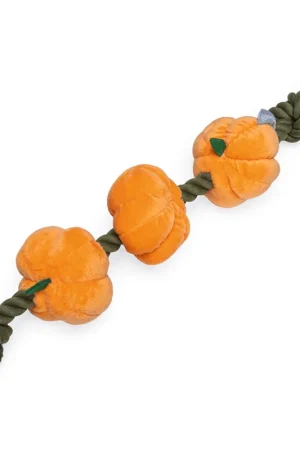 Gereduceerde Prijs Beeztees Hondenspeelgoed Touw met Pompoenen