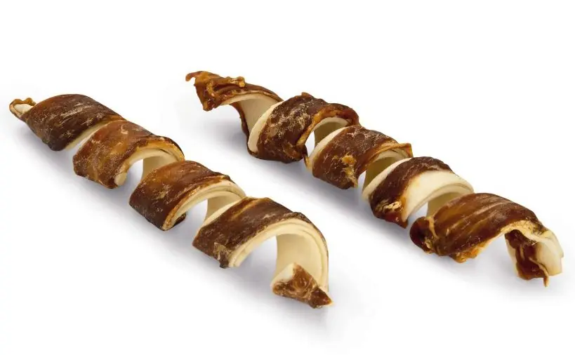 Beeztees Kauwtwister Eend 18 cm 2 st Snelle Levering