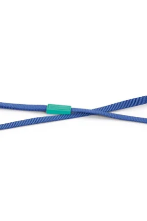 Beeztees Looplijn Uni Blauw Laatste Versie