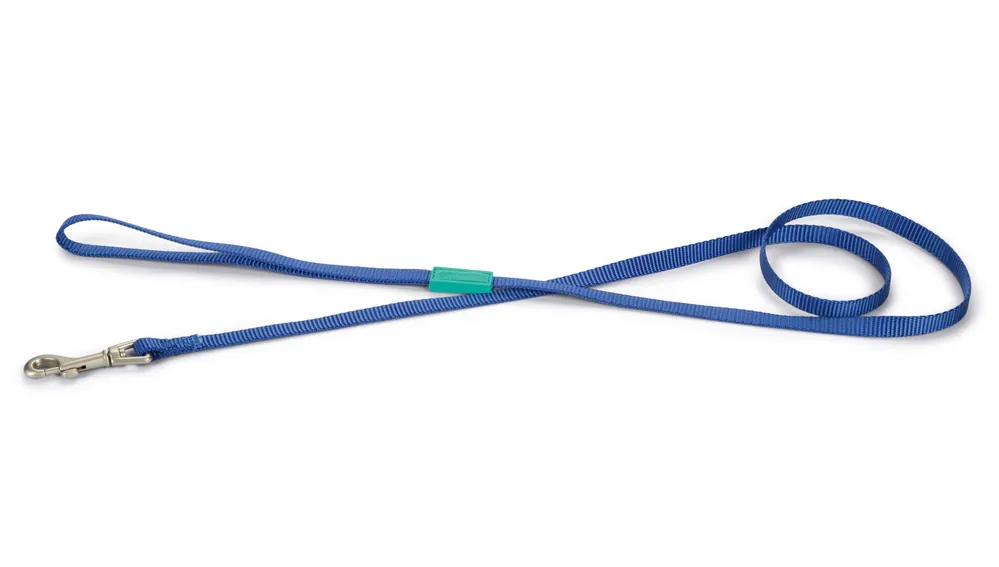 Beeztees Looplijn Uni Blauw Laatste Versie