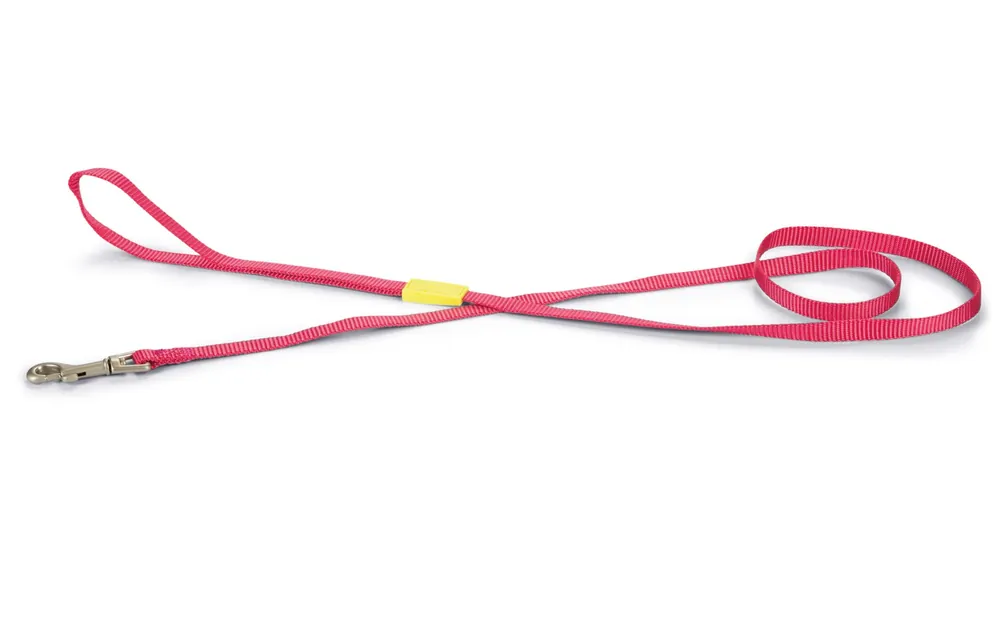 Beperkt Aanbod Beeztees Looplijn Uni Roze