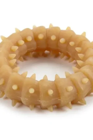 Beeztees Puppy Ring Naturel Voordeelprijs