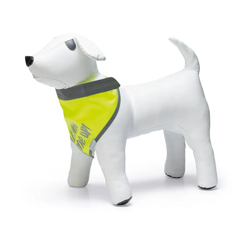 Superprijs Beeztees Reflecterende Bandana Chiny
