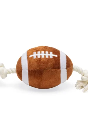 Exclusieve Aanbieding Beeztees Rugbybal met Touw
