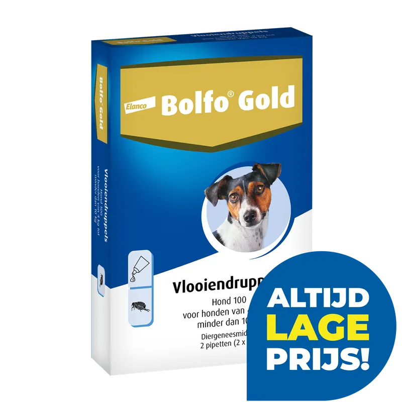 Bolfo Gold 100 hond 2 pipetten Lage Prijs