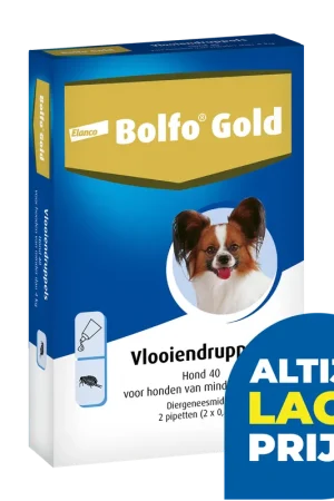 Bolfo Gold 40 hond 2 pipetten Must-Have