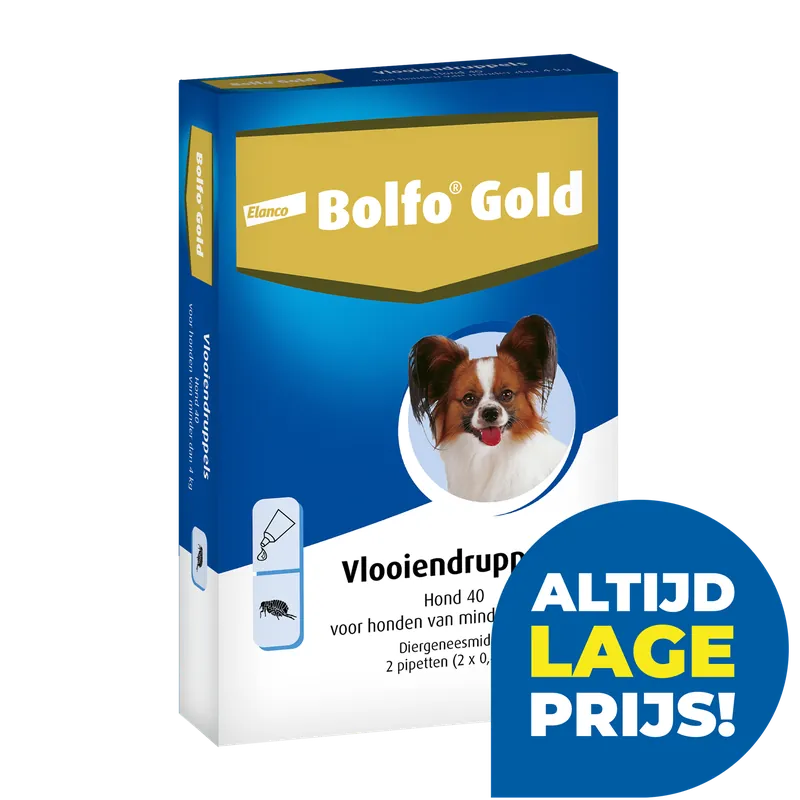 Bolfo Gold 40 hond 2 pipetten Must-Have
