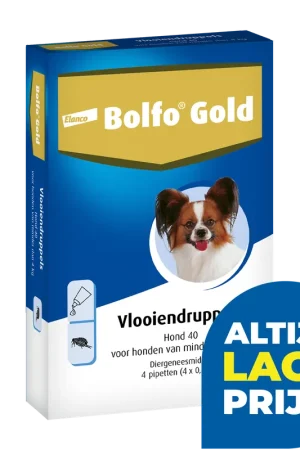 Bolfo Gold 40 hond 4 pipetten Hoge Kwaliteit
