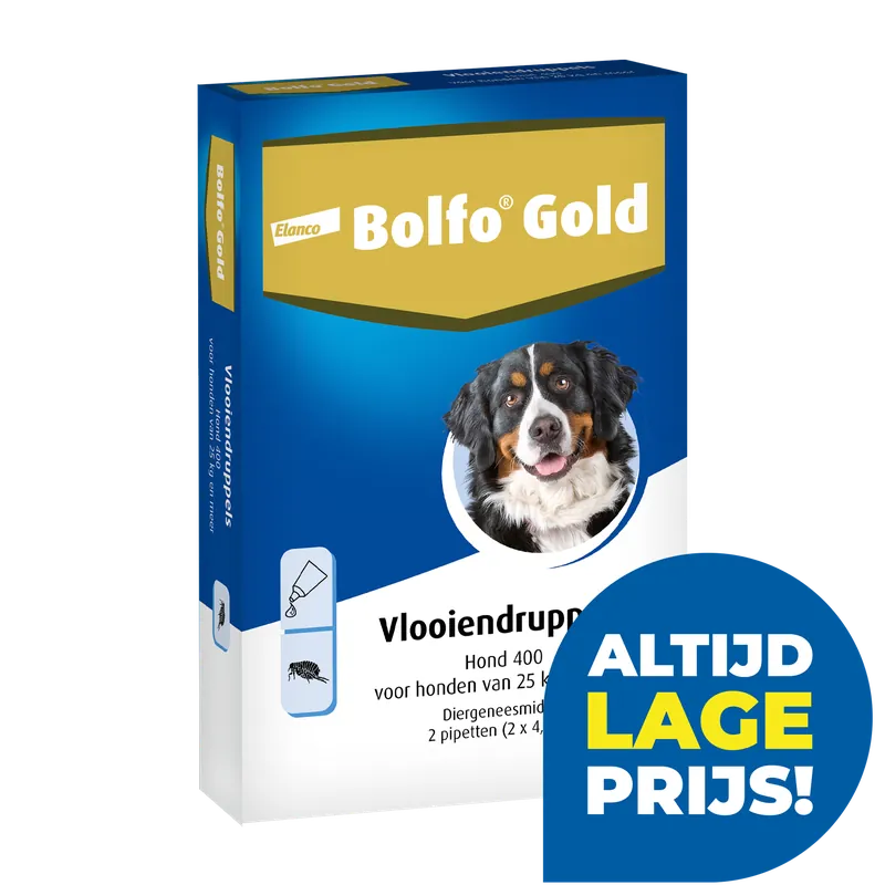 Laatste Kans Bolfo Gold 400 hond 2 pipetten