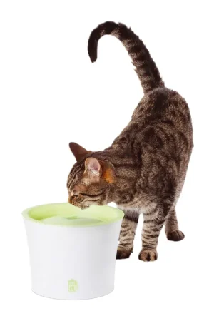 Catit drinkfontein 3 ltr Koopje