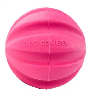 Express Levering Dog Comets bal Halley roze