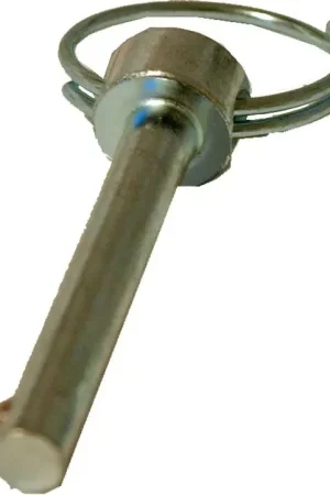 Lage Kosten DoggyRide Borgpin met Ring (Detentpin) Kort