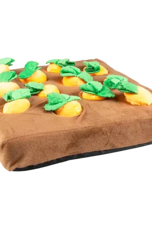 Betrouwbaar Duvo+ Snackmat Wortel Moestuin
