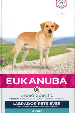 Meest Verkocht Eukanuba Hondenvoer Labrador Retriever Adult 12 kg