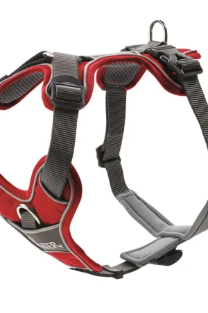 Hunter hondentuig Divo Grijs/Rood Koop Vandaag