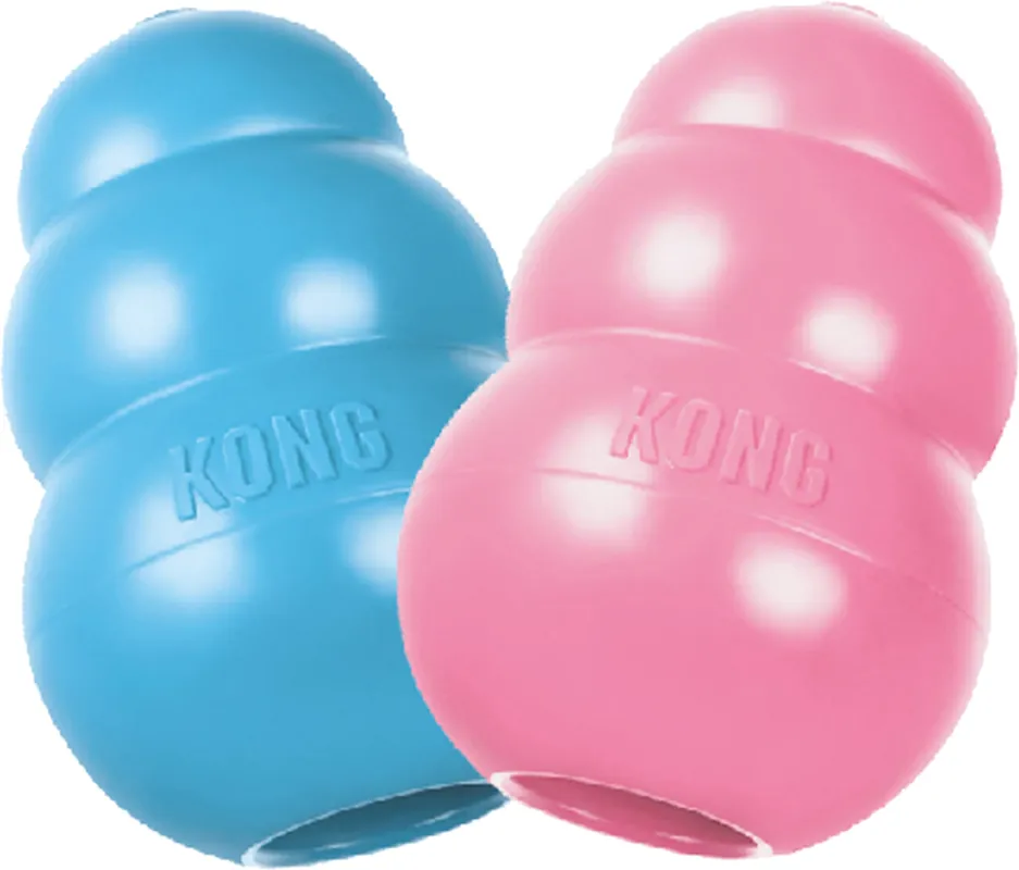 Beperkt Aanbod Kong Puppy assorti