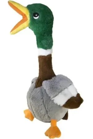 Koop Online Kong Shakers Honkers eend